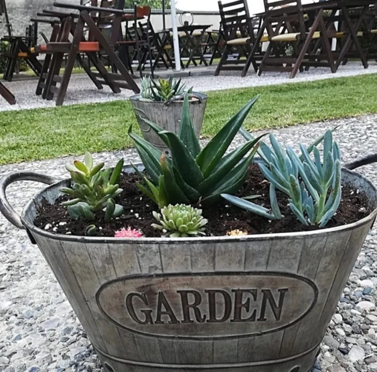 48 Ώρες στην Καβάλα: Ο Απόλυτος Οδηγός για ένα Αξέχαστο Διήμερο